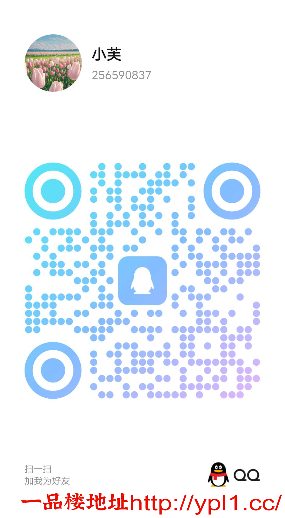 3295A68BCC0284ED4C938D694688C654.png