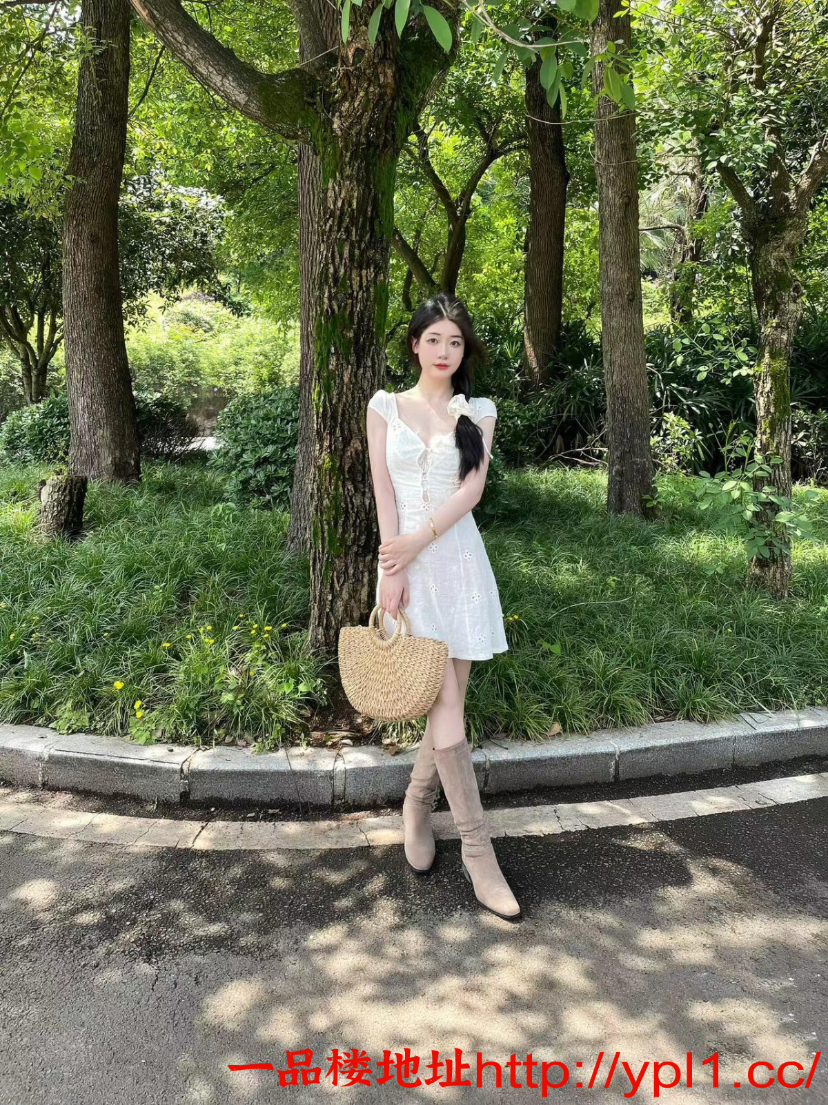 IMG_0228.png